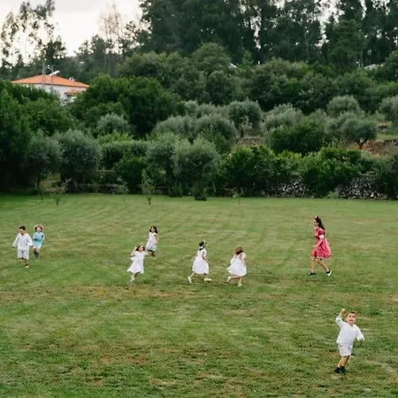 Solar De Almeidinha * Mangualde