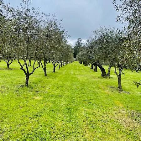 Solar De Almeidinha * Mangualde