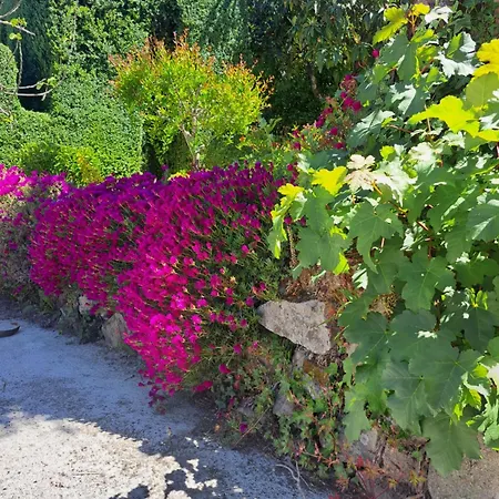 Solar De Almeidinha Mangualde