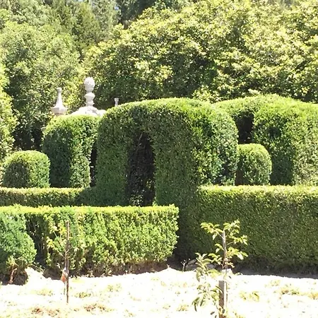 Feriegård Solar De Almeidinha