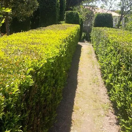 Solar De Almeidinha Bauernhof Mangualde