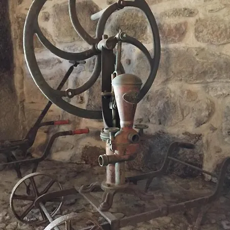 Solar De Almeidinha Farm stay Mangualde