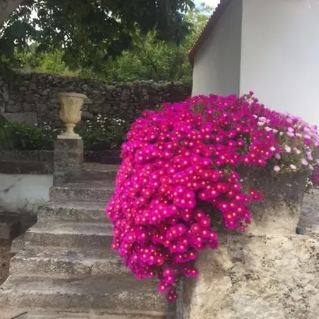 Solar De Almeidinha Mangualde