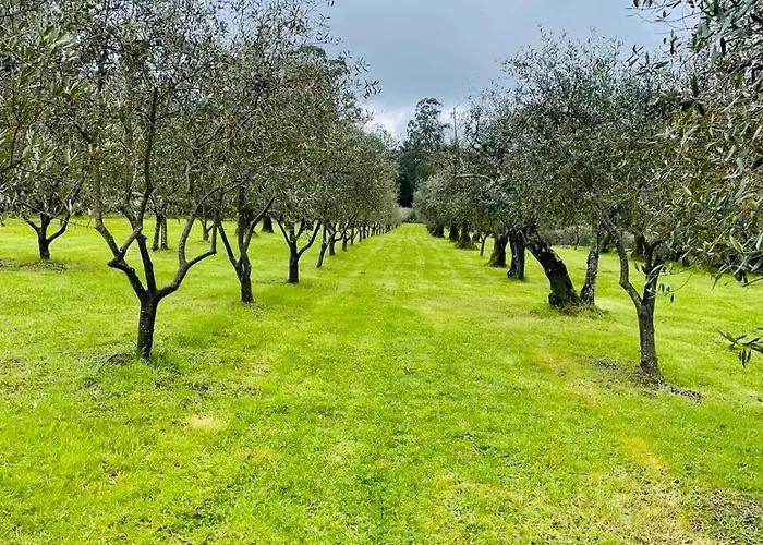 Solar De Almeidinha * מנגולדה