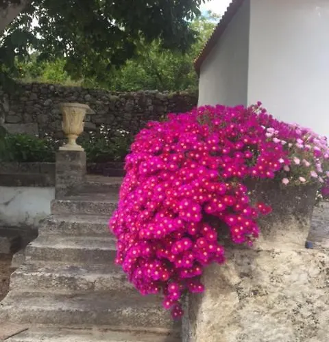 Solar De Almeidinha Mangualde